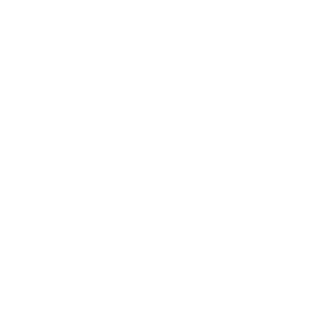 https://acharyabellaroy.com/wp-content/uploads/2018/05/gemini.png