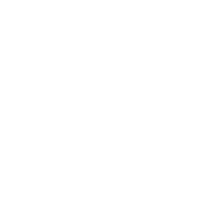 https://acharyabellaroy.com/wp-content/uploads/2018/05/leo.png